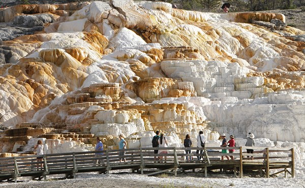 Palette Spring at Mammoth Hot Springs in Yellowstone National Park; Date: 30 June 2015