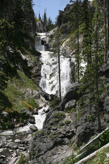 Looking up at a several tiered water fall coming over rockswith trees to the side. Mystic Falls in Yellowstone National Park; Date:  30 June 2008