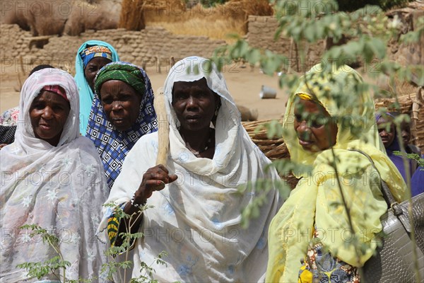 Women in traditional dress in Maradi or Zinder Niger (May 2015)