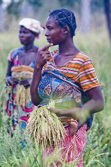 A woman smallholder farmer in northern Ghana in the field ca. 28 November 2011