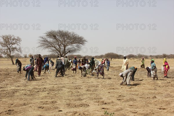 Niger - People in a field (probably planting seeds) in May 2015