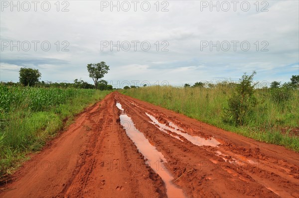 Muddy road to Nkhanga Rural Health Centre in Zambia ca. 2 March 2017