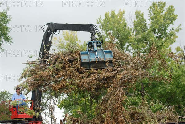 A grapple truck loading large brush and remains of a cut tree into a truck