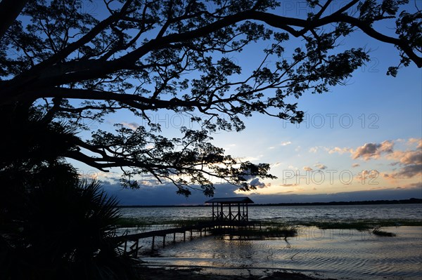 Pier at Lake Ariana - Auburndale, FL