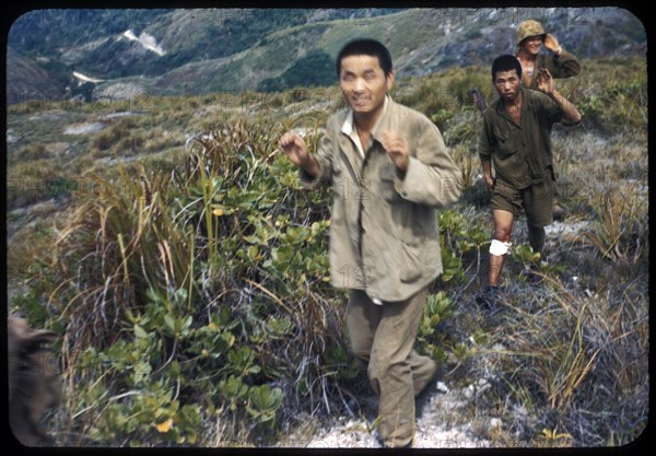 Marines bring in captured Japanese prisoners