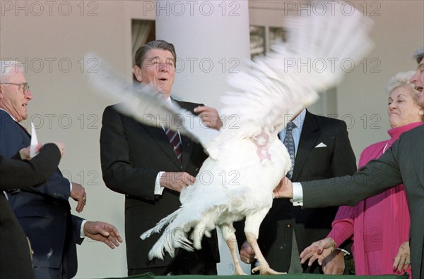 President Reagan attending ceremony