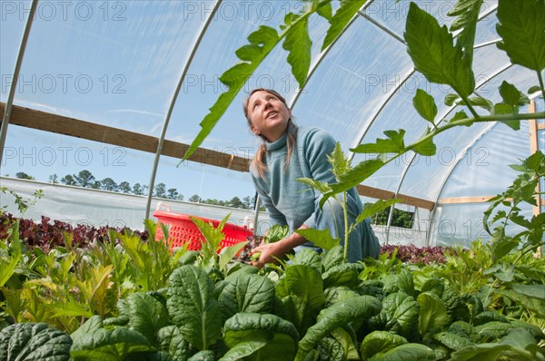 2011 USDA Visit to Amy's Organic Garden in Charles City