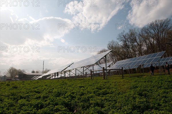 2011 USDA visit to Seldom Rest Farms