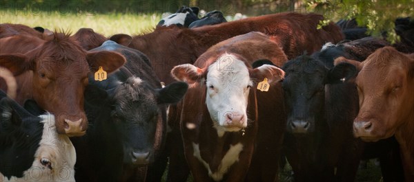 2018 USDA Visit to Tuckahoe Plantation