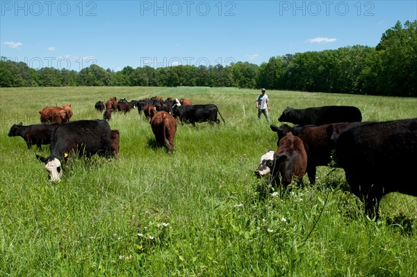 2020 USDA Visit to Tuckahoe Plantation