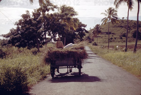 A farm road near one of the 'villages' on the northern coast