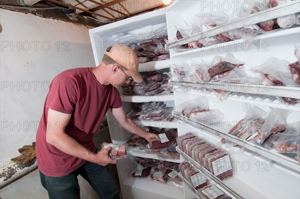 A farmer takes inventory of beef