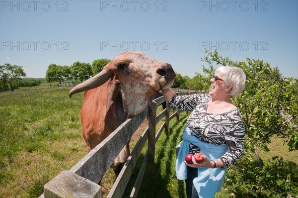 A woman farm owner poses for a photo with her pet Brahma cow