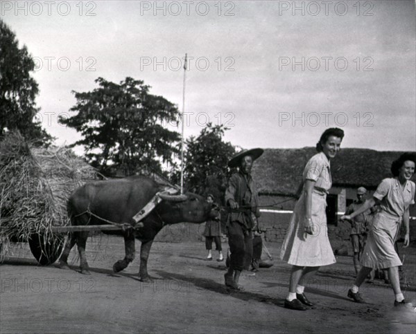 American nurses in Kunming