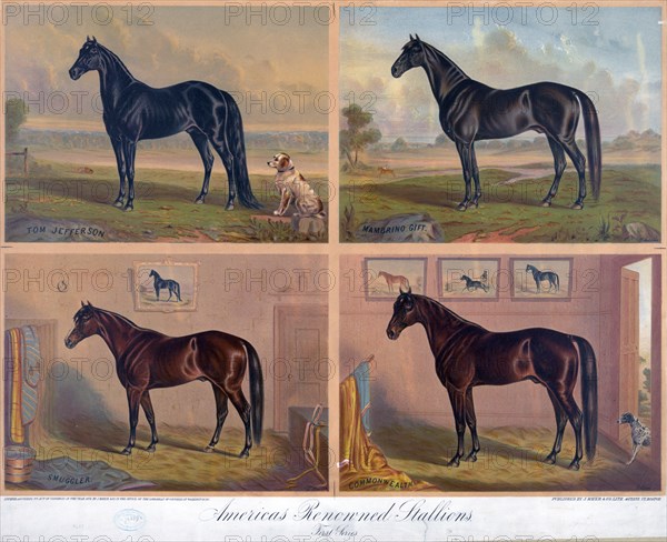 Americas renowned stallions ca 1876
