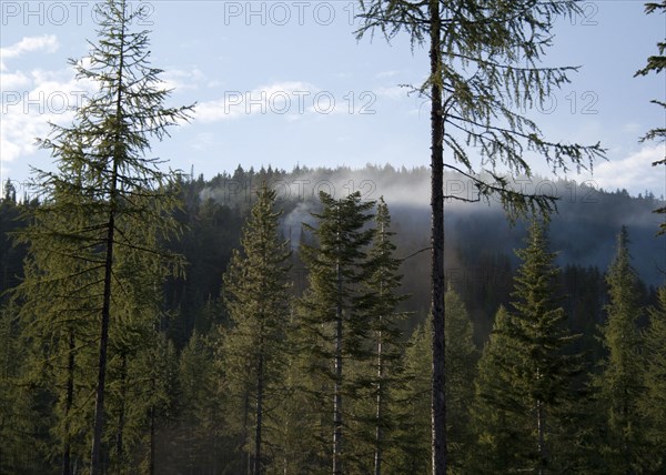 August 2011 Washington State Wildfires