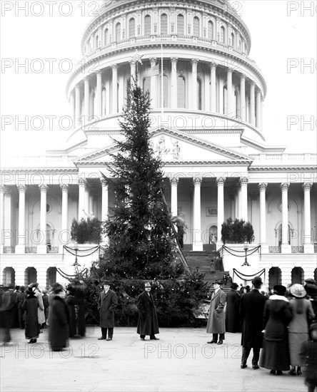 Community Christmas tree