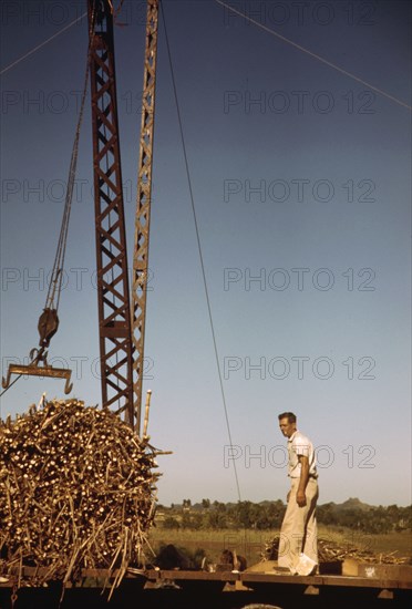 Crane at a 'central' sugar cane gathering place