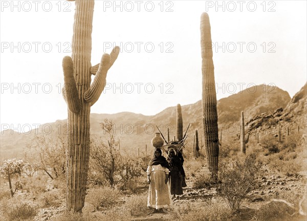 Edward S. Curtis Native American Indians