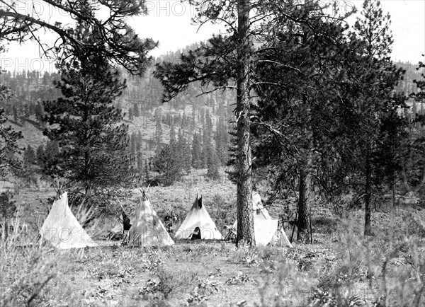 Edward S. Curtis Native American Indians