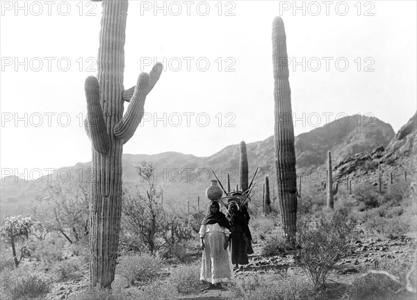 Edward S. Curtis Native American Indians