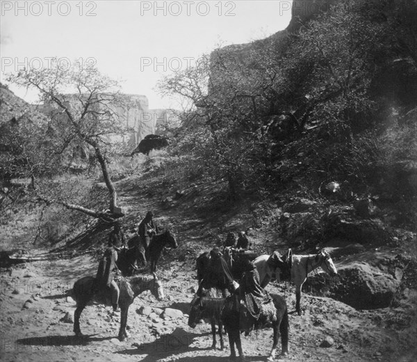 Edward S. Curtis Native American Indians