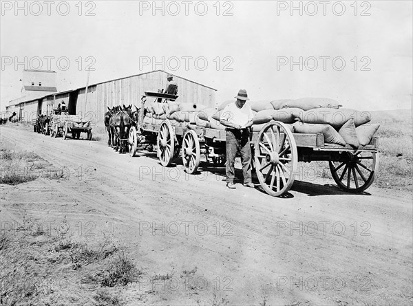 Farmers delivering their wheat to the warehouse