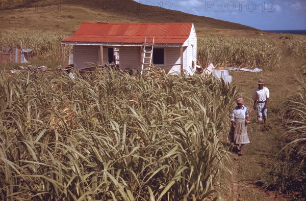 Farmers in their garden