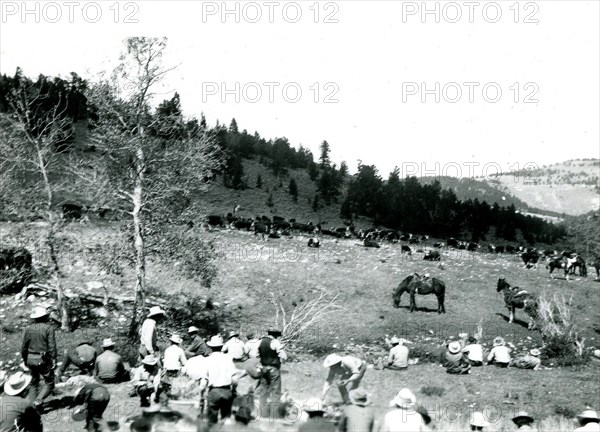 Group of People and Cattle ca 1947