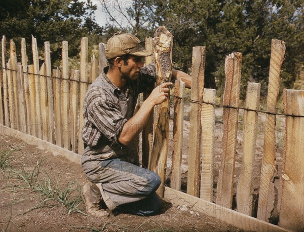 Homesteader repairing fence