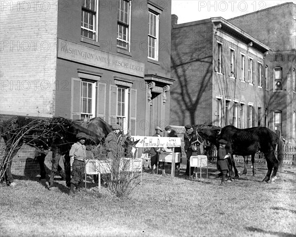 Horse Christmas party December 29