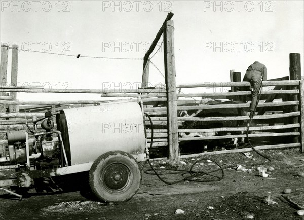 Man Climbing Fence with Hose ca 1948
