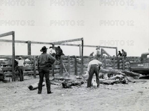 Men Working with Large Logs ca 1938