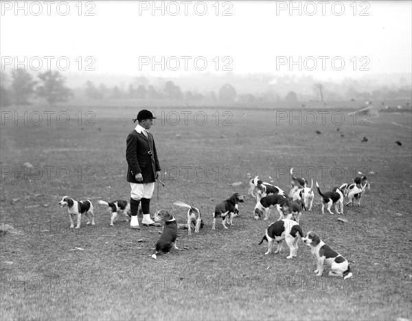 National Beagle Club of America