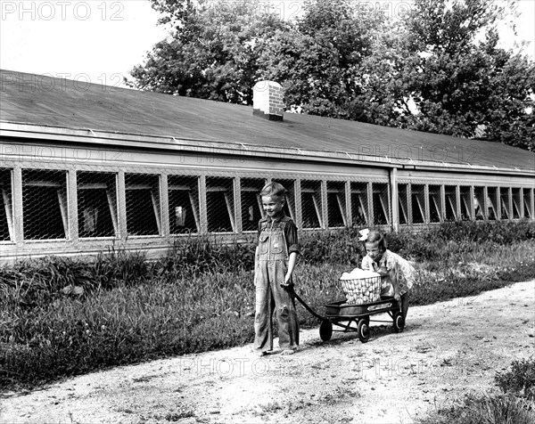 Photograph of Children Pulling Basket of Eggs in Wagon