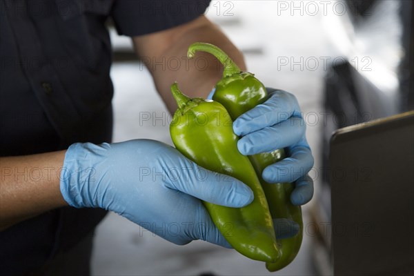 Agriculture Specialist inspects a shipment of peppers