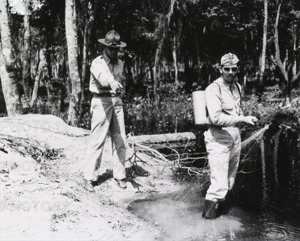 Spraying insecticide in swamps