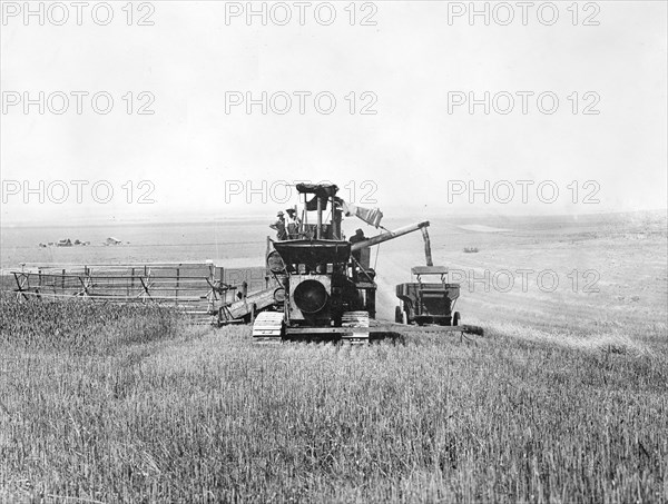 Tractor drawn combined harvester and thresher in field of Federation wheat