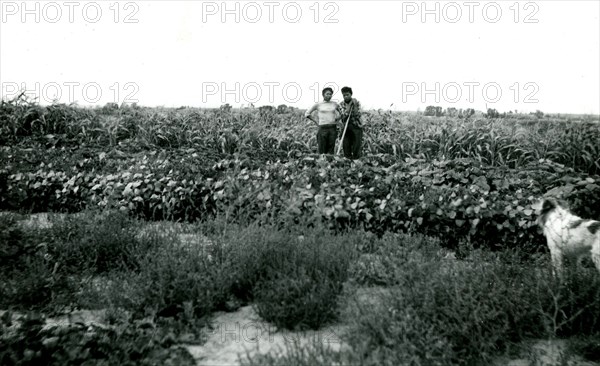 Two People Standing in Field with Tools 1936