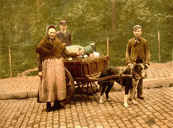 Milksellers, Brussels, Belgium ca. 1890-1900