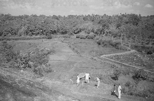 Buitenzorg: Here the golf links are open again in Bogor, Indonesia, Java, Dutch East Indies ca. 1947