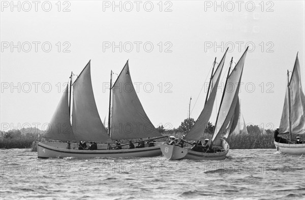 Sailing competition between the sea sloops of the MOK (Marine Training Camp) on the Loosdrecht Lakes - Loosdrechtse Plassen, Noord-Holland ca. August 1961