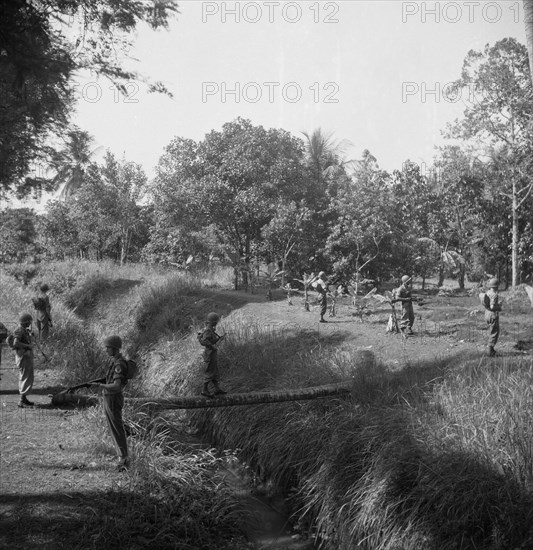 A soldier crosses a stream or ditches through a tree trunk covered by other soldiers, 1947, Indonesia