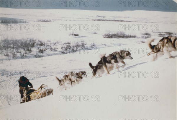 Dog sled trip from Bettles to Anaktuvuk - Gates of the Arctic ca. 1975