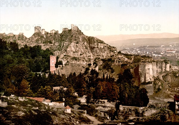 Botanical gardens, Tiflis, Russia, (i.e., Tbilisi, Georgia) ca. 1890-1900