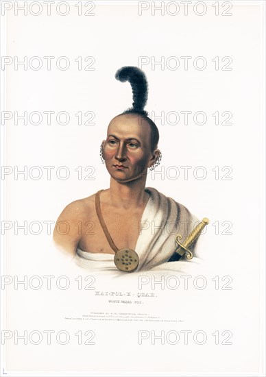 Antique Native American Print - Kai-Pol-E-Quah, White Nosed Fox ca. 1838