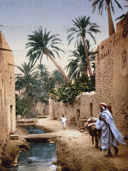 Street in the old town, I, Biskra, Algeria ca. 1899