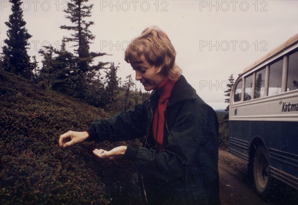 August 1972 - European tourist sampling berries during park tour on the road to the Monument of 10,000 smokes, Katmai National Monument, Alaska