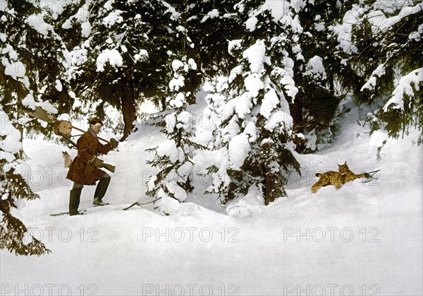 Trapping lynx, Russia ca. 1890-1900