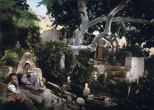 Moorish family in the cemetery, Algiers, Algeria ca. 1899